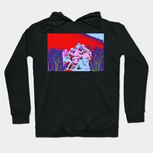 The Angel / Swiss Artwork Photography Hoodie